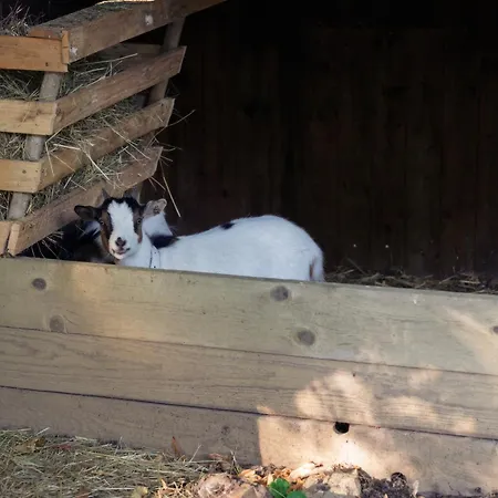 La Hohmatt Szálloda Tuescherz-Alfermee