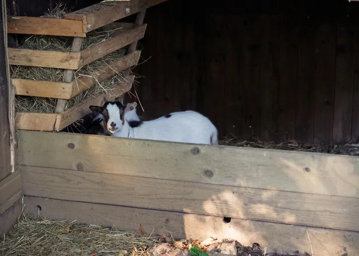 La Hohmatt Szálloda Tuescherz-Alfermee